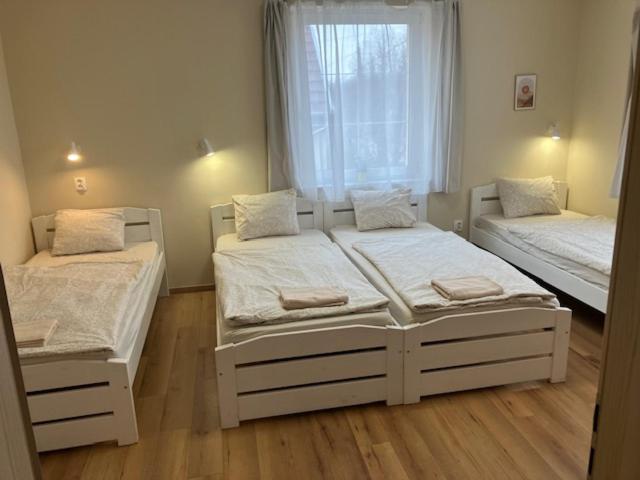 Palmy Apartmanhouse Maglod Bagian luar foto